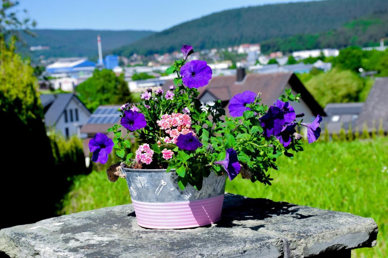 Hotel Bergwiesen - Zimmer Mit Balkon Oder Terasse Lohr Екстериор снимка